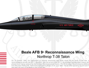 BEALE AFB Northrop T-38 Talon - 247