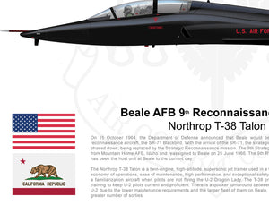 BEALE AFB Northrop T-38 Talon - 9th RW